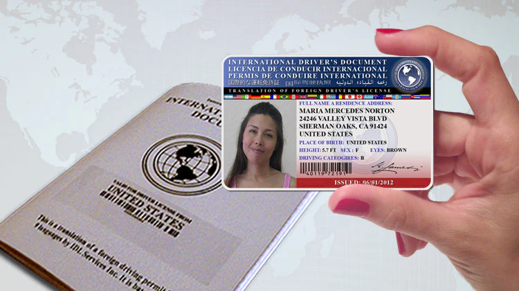 theinternationaldriverslicense